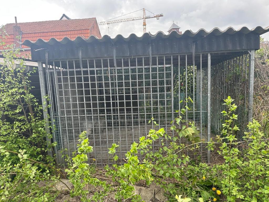 Hondenhok 3mx3m, Ophalen, 100 cm of meer, Hondenhok, 110 cm of meer