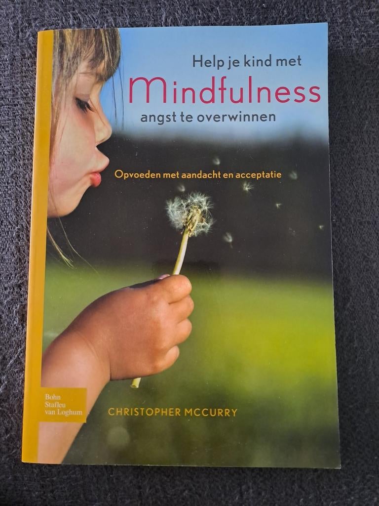 Help je kind met mindfulness angst te overwinnen, Ophalen, Christopher MacCurry