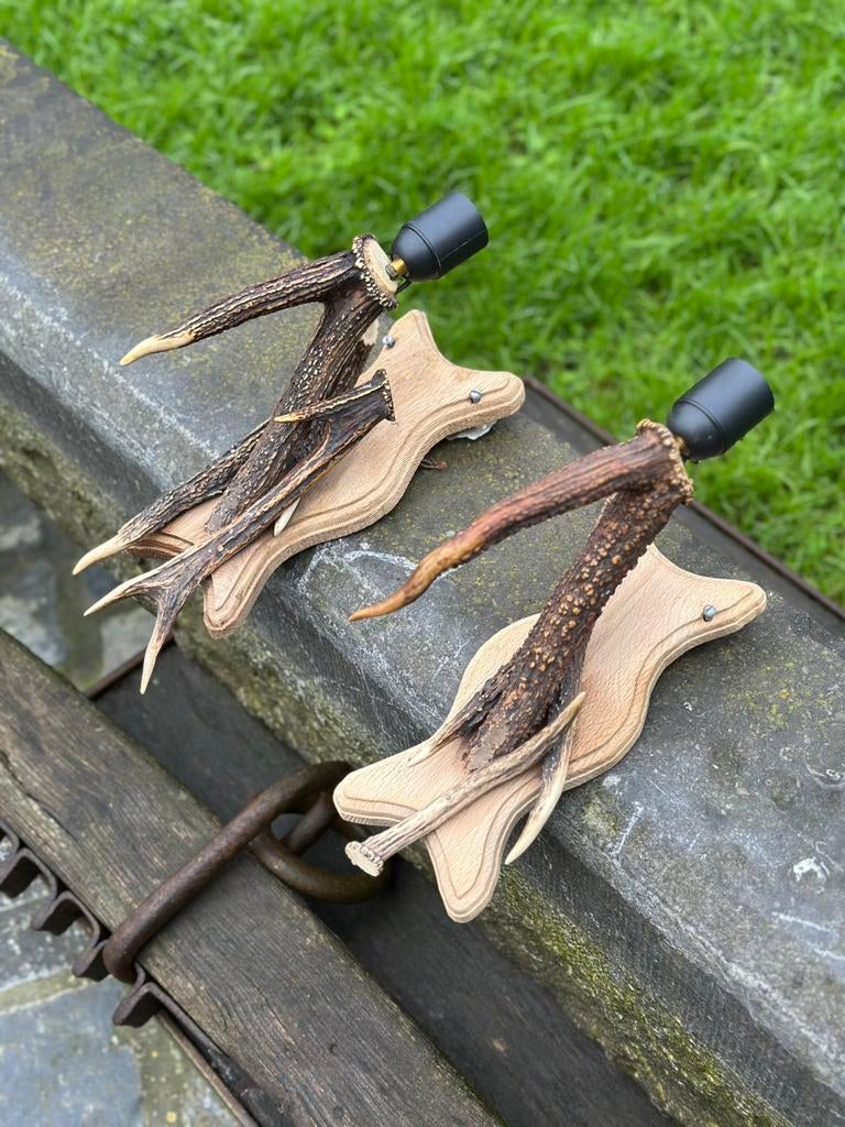 Gewei lampen muur lampen, Enlèvement