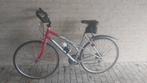Dames koersfiets Koga, Ophalen, Gebruikt, Koga Miyata