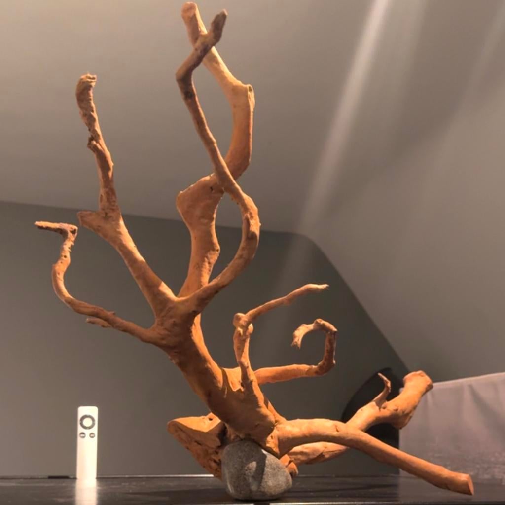 50 Stukken Kienhout / Driftwood / Spiderwood, Hout Decoratie, Dieren en Toebehoren, Reptielen en Amfibieën | Toebehoren, Zo goed als nieuw