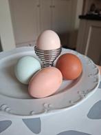Vers gekookte eitjes, kijk even mijn andere zoek ❤️🩷💛💚💙, Dieren en Toebehoren, Pluimvee