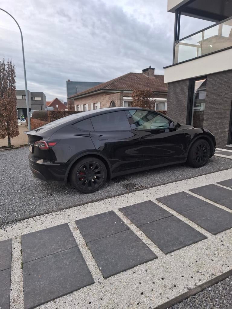 TESLA Y RWD, Autos, Tesla, Cuir, Achat, Noir, 5 portes