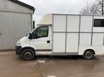 Camion chevaux Opel Movano, Ophalen