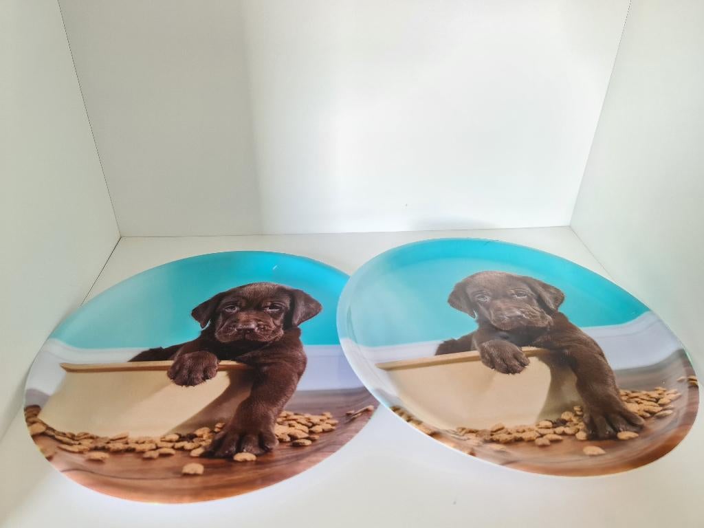 2 plastiek borden, babybord, peuterbord, Enlèvement, Comme neuf