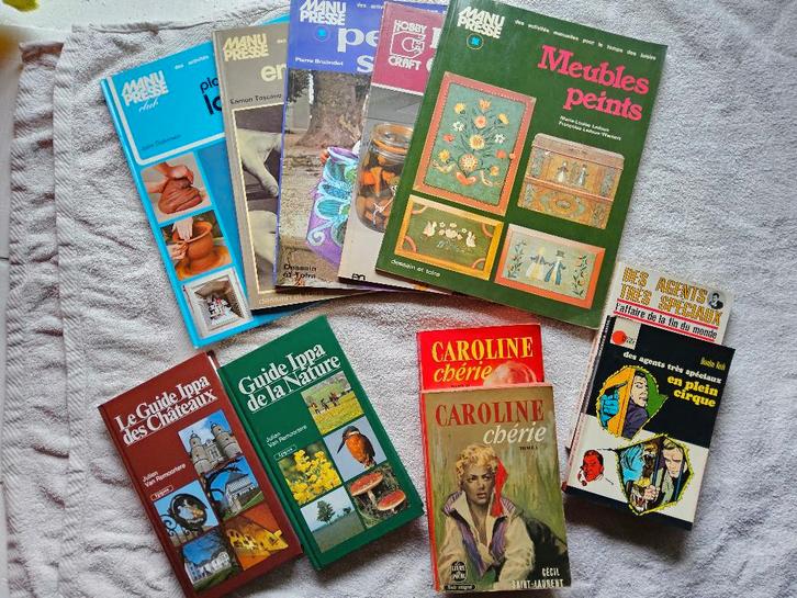 LIVRES, romans, tourisme, bricolage prix voir description, Boeken, Overige Boeken, Gelezen, Ophalen of Verzenden