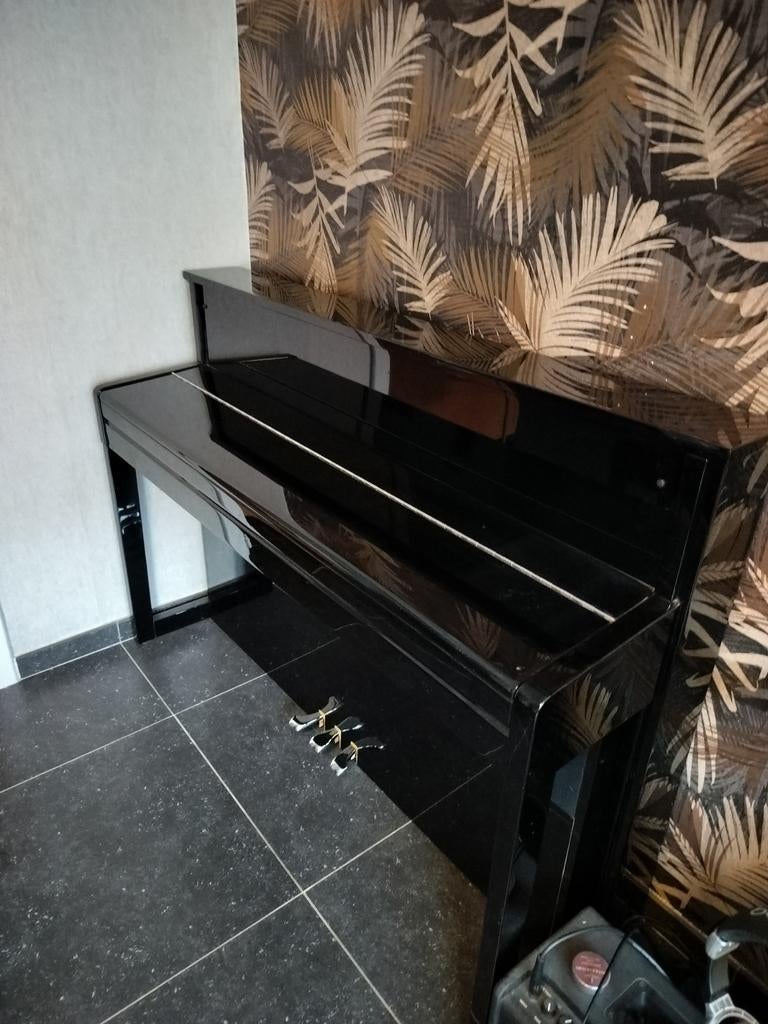 Digitale piano Dynatone DSP-500, Ophalen, Piano