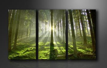 Nieuw * 3 Luik Canvas Schilderij Green Forest 90x160cm beschikbaar voor biedingen
