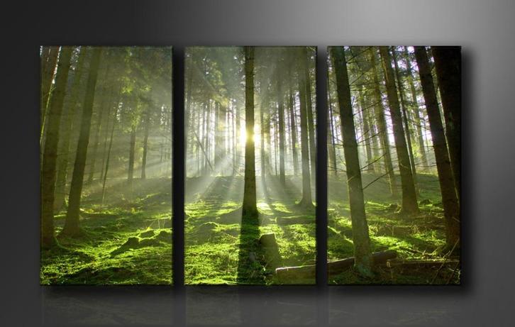 Nieuw * 3 Luik Canvas Schilderij Green Forest 90x160cm, Huis en Inrichting, Woonaccessoires | Schilderijen, Tekeningen en Foto's
