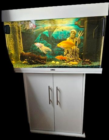 Juwel Rio Aquarium 125 met een kast. Compleet met 5 vis.  beschikbaar voor biedingen
