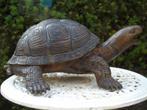 statue d une tortue terrestre en bronze et jet d eau !, Jardin & Terrasse, Fontaine, Autres matériaux, Enlèvement ou Envoi, Neuf