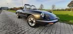 Alfa Spider 2000, Autos, Cuir, Noir, Propulsion arrière, Achat