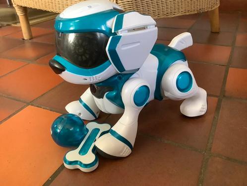 Chien teksta robot, Kinderen en Baby's, Speelgoed | Overig, Ophalen of Verzenden