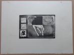 CHRIS VERHEYEN / PAARDEN / ZW-W LITHO / 49x65cm / SIG, Antiek en Kunst, Ophalen of Verzenden