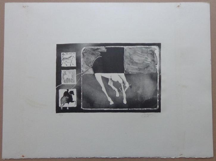 CHRIS VERHEYEN / PAARDEN / ZW-W LITHO / 49x65cm / SIG, Antiek en Kunst, Kunst | Litho's en Zeefdrukken, Ophalen of Verzenden