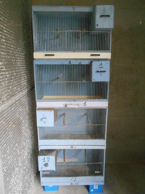 kweekkooien, Dieren en Toebehoren, Vogels | Hokken en Kooien, Gebruikt, Broedkooi of Kweekkooi, Hout, Ophalen