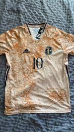 Lionel messi argentina special edition jersey 2021-2022, Ophalen of Verzenden, Nieuw, Shirt