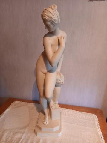 Mooi beeld beschikbaar voor biedingen