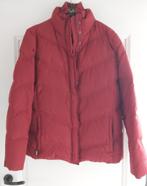 Bordeaux jas Esprit maat XL, Esprit, Ophalen of Verzenden, Zo goed als nieuw, Maat 42/44 (L)