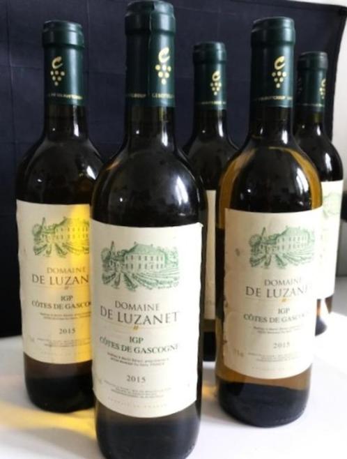 Wijn Cotes De Gascogne 5 stuks, Verzamelen, Wijnen, Witte wijn, Frankrijk, Vol, Ophalen of Verzenden