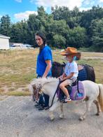 Pony ritjes  ouders met kind geen begeleiding, Dieren en Toebehoren