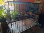 Cage pour chien, Animaux & Accessoires, Enlèvement, Utilisé