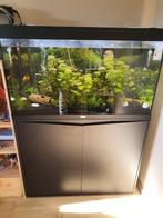 Aquatlantis aquarium, Animaux & Accessoires, Poissons | Aquariums & Accessoires, Comme neuf, Enlèvement, Aquarium vide