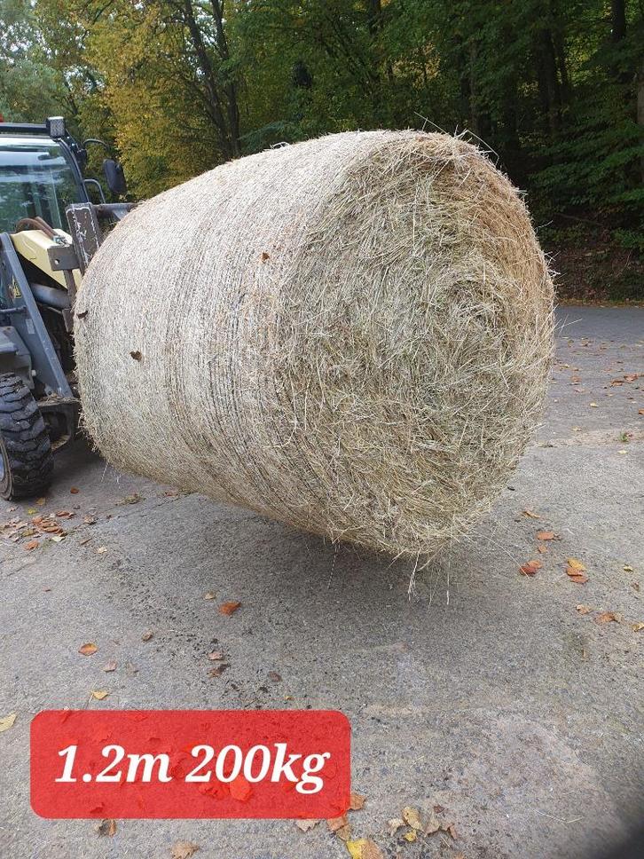 Foin en boules 1.2m 200kg, Dieren en Toebehoren, Dierenvoeding, Vee, Ophalen