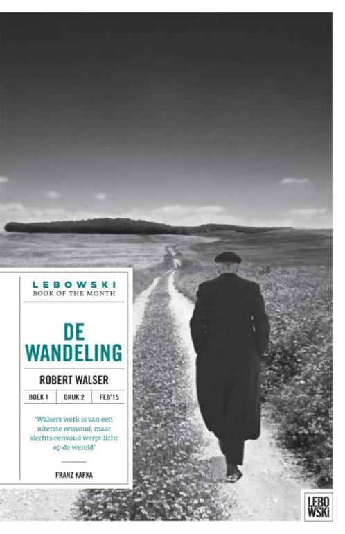Te Koop Boek DE WANDELING Robert Walser, Boeken, Romans, Zo goed als nieuw, Europa overig, Ophalen of Verzenden