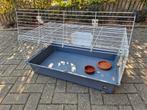 Cavia kooi, Dieren en Toebehoren, Ophalen, Zo goed als nieuw, Kooi, Cavia
