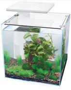 Aquarium Superfish Qubiq 30l wit, Animaux & Accessoires, Enlèvement