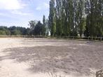 paardensportbezit, 3 kamers, 1500 m² of meer, 128 m², Hirson