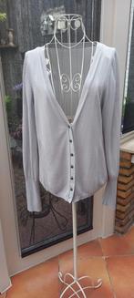 Mooi vestje maat large, Kleding | Dames, Truien en Vesten, Ophalen of Verzenden, Zo goed als nieuw