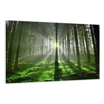 Nieuw canvas schilderij Groen Bos 120 x 80 cm beschikbaar voor biedingen