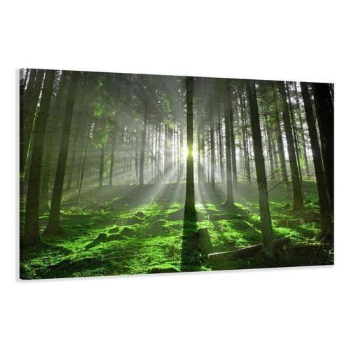 Nieuw canvas schilderij Groen Bos 120 x 80 cm, Huis en Inrichting, Woonaccessoires | Wanddecoraties, Nieuw, Verzenden