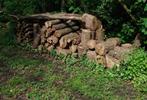 Robinia en eiken hardhout boomstronken en takken, Ophalen