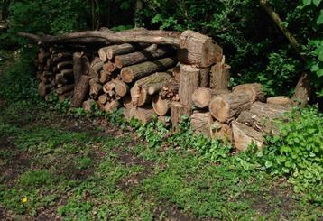 Robinia en eiken hardhout boomstronken en takken beschikbaar voor biedingen