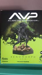Alien vs predator, Verzamelen, Beelden en Beeldjes, Ophalen of Verzenden, Nieuw, Overige typen
