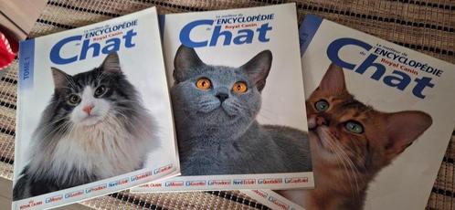 Lot de 3 magazines royal canin Chats, Boeken, Dieren en Huisdieren, Zo goed als nieuw, Katten, Ophalen