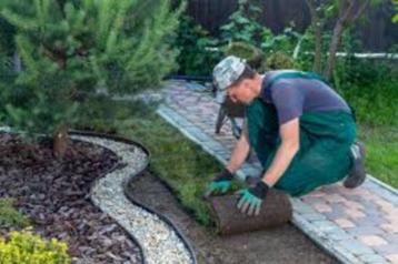 tuinman, tegels, aanleg, grasmaten, snoeiwerk 6 man uren 185 beschikbaar voor biedingen
