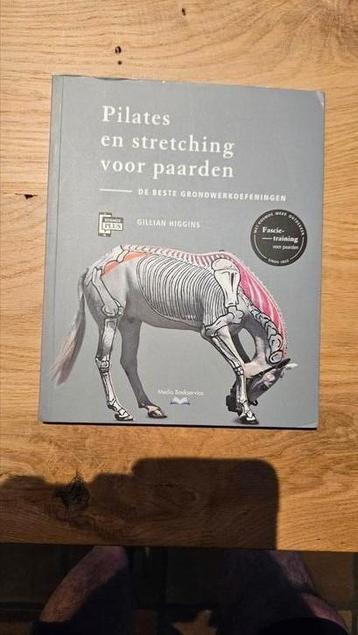Gillian Higgins - Pilates en stretching voor paarden beschikbaar voor biedingen