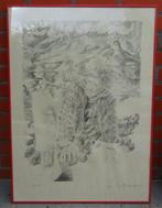 dessin de Dees De bruyne l 65,5 x h 90 cm, Antiquités & Art, Art | Peinture | Moderne, Enlèvement