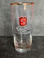 Triumph pils’t Haemerken Brugge bierglas, Overige merken, Glas of Glazen, Ophalen of Verzenden, Zo goed als nieuw