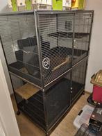 Knaagdierenkooi, 90 cm ou plus, Cage, Enlèvement, Utilisé