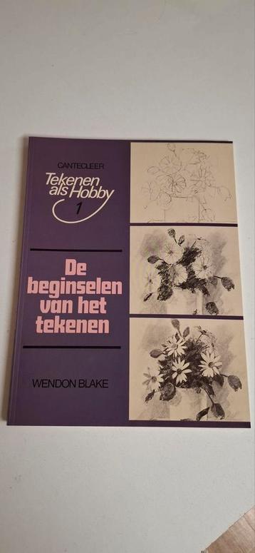 Boek De beginselen van het tekenen beschikbaar voor biedingen