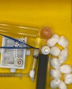 Starterset Camponotus Ligniperda, Dieren en Toebehoren, Insecten en Spinnen, Mieren