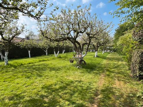 Andere te koop in Damme, Immo, Huizen en Appartementen te koop, Overige soorten