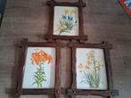 3 vintage kadertjes, Huis en Inrichting, Ophalen, Zo goed als nieuw