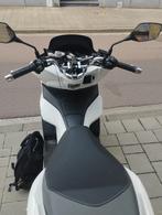 Honda pcx, Motoren, Motoren | Honda, Particulier