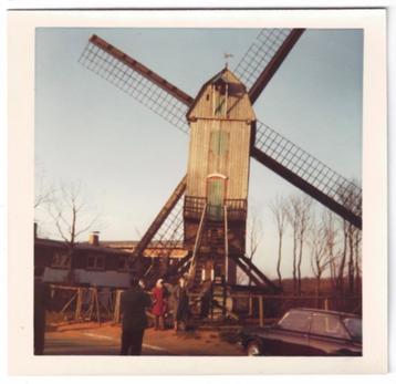 Photo Thijstermolen, Westouter, années 1960, Enlèvement ou Envoi, Photo, Comme neuf, Bâtiment